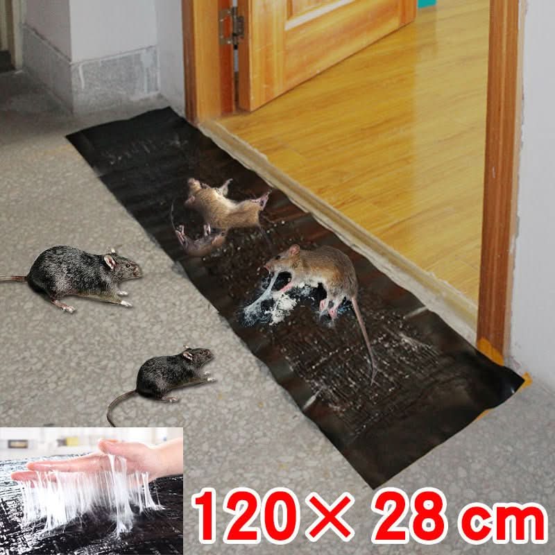 Glue Trap Large Rodent and Insect Pest Control Board