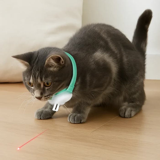 Automatic Cat Laser Collar