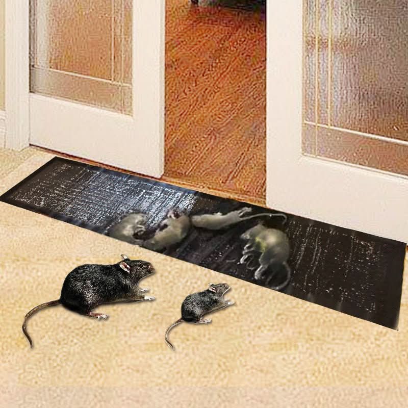 Glue Trap Large Rodent and Insect Pest Control Board