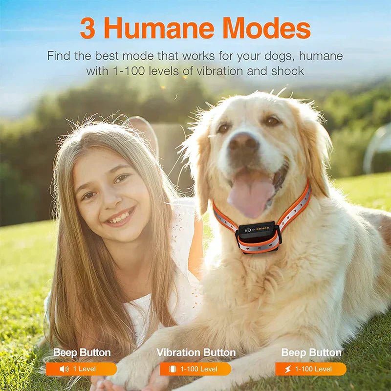 Dog Training Collar Remote Waterproof Long Range Trainer